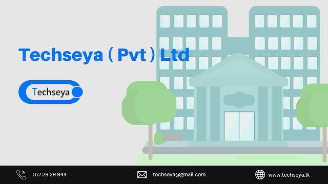 Techseya ( Pvt ) Ltd