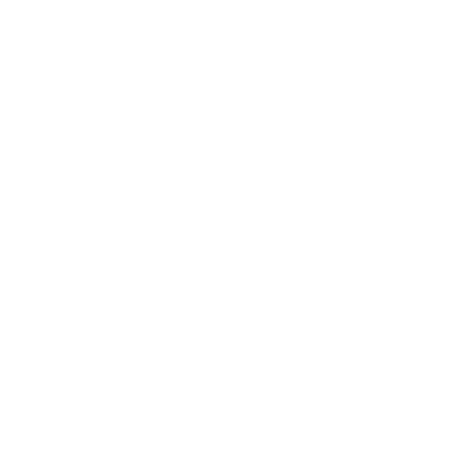 Website seo